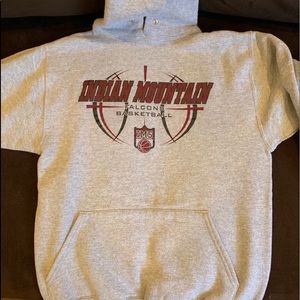 Mens Small Grey Indian Mountain Basketball Hoodie